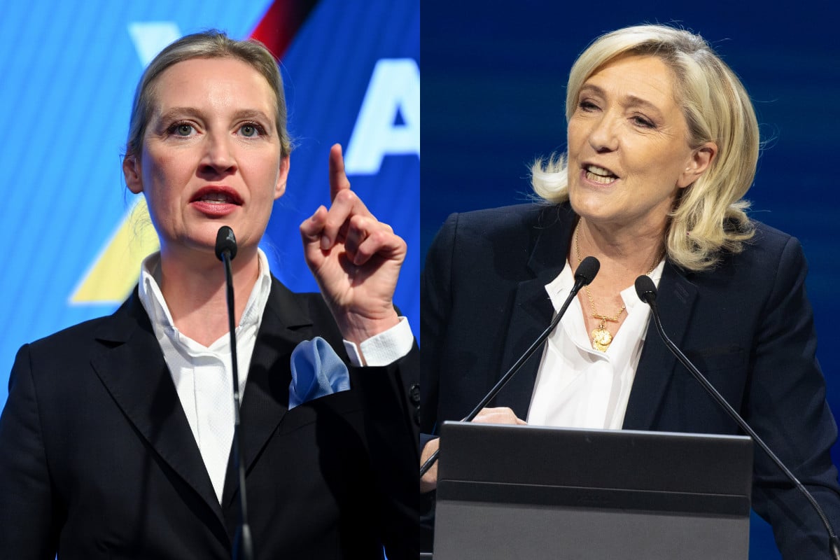 AfD propone a Marine Le Pen conversar sobre una política común para la defensa de Europa