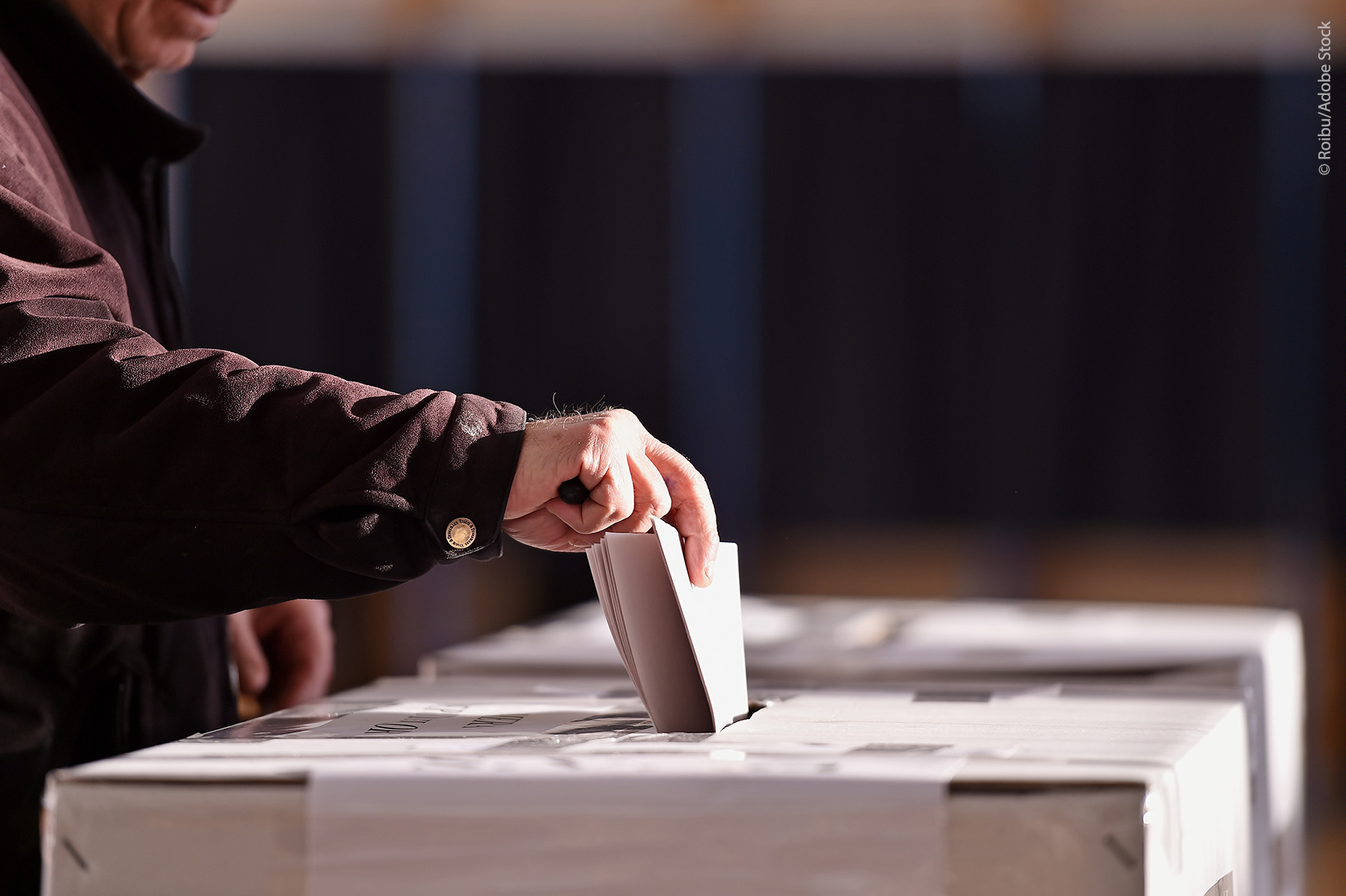 Yo injerencio, tu injerencias, todos injerencian: el peligro de defender la democracia anulando la democracia