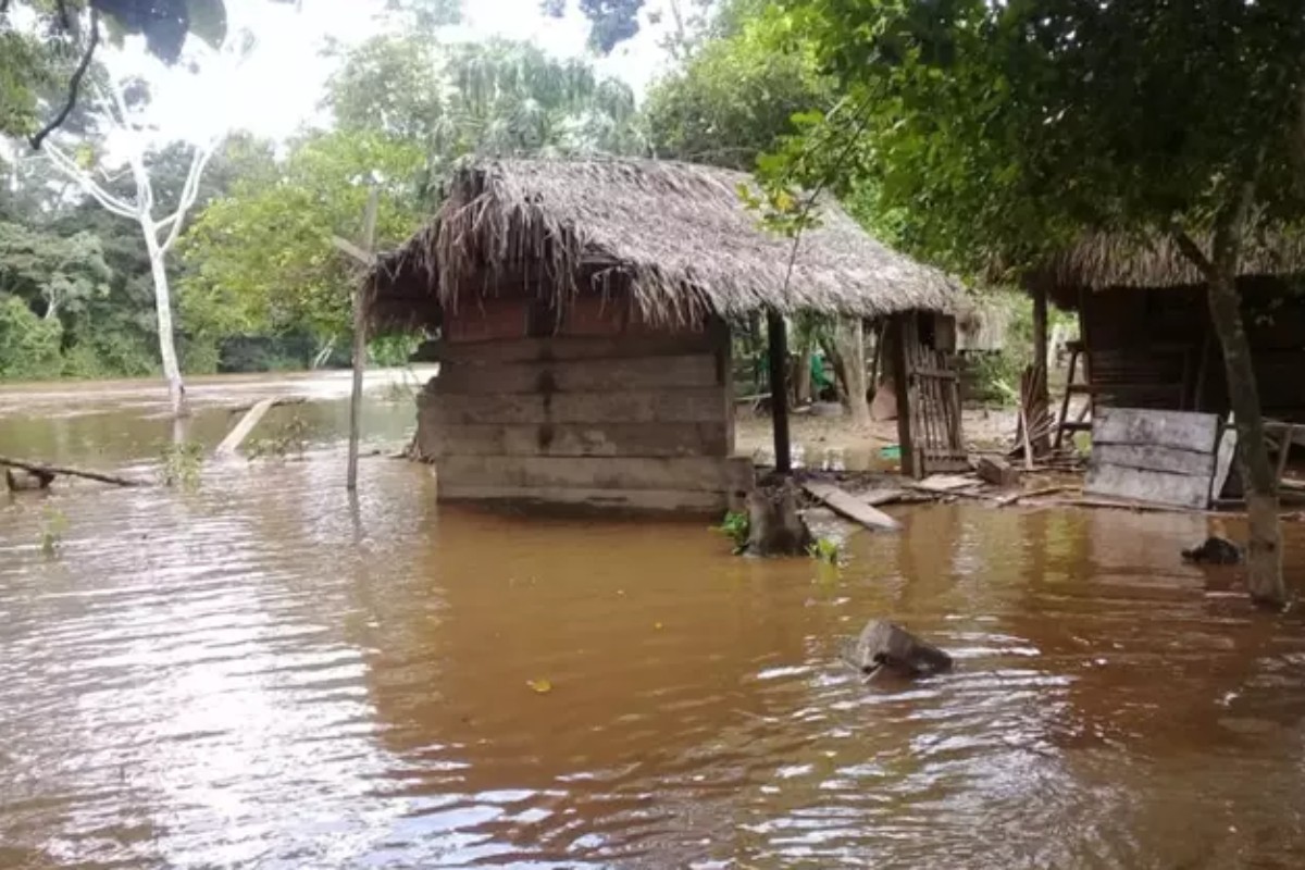 Al menos 55 muertos y medio millón de familias afectadas por las fuertes lluvias en Bolivia