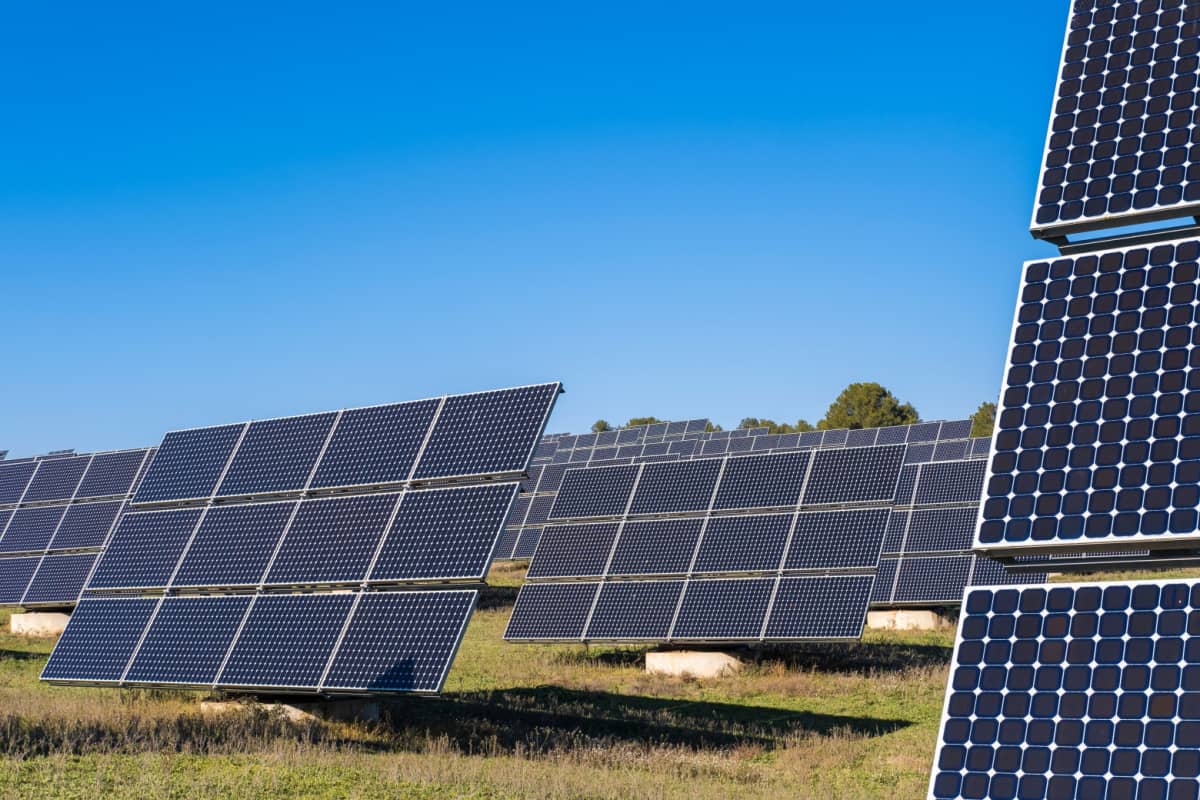 El Gobierno de Sánchez planea talar más de 11.000 olivos en Colmenar de Oreja (Madrid) para convertir cientos de hectáreas en grandes paneles solares