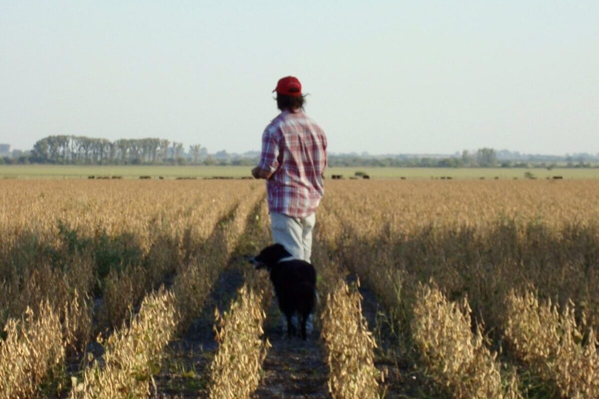 Un estudio revela que el Pacto Verde impuesto por Bruselas afecta a la salud mental del 77% de agricultores