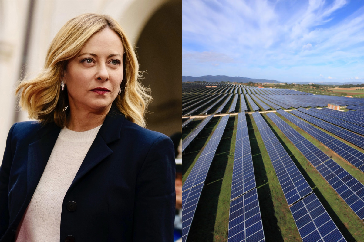 El Gobierno de Meloni prohíbe los paneles solares en tierras cultivables mientras Sánchez avanza en la tala de miles de olivos