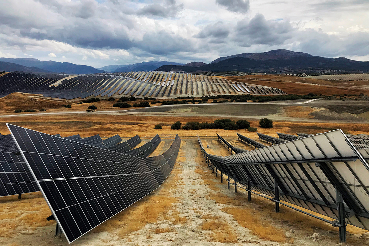 La Junta de Andalucía (PP) tendrá que plantar 28,5 millones de árboles para compensar el CO2 que dejarán de capturar los 500.000 olivos