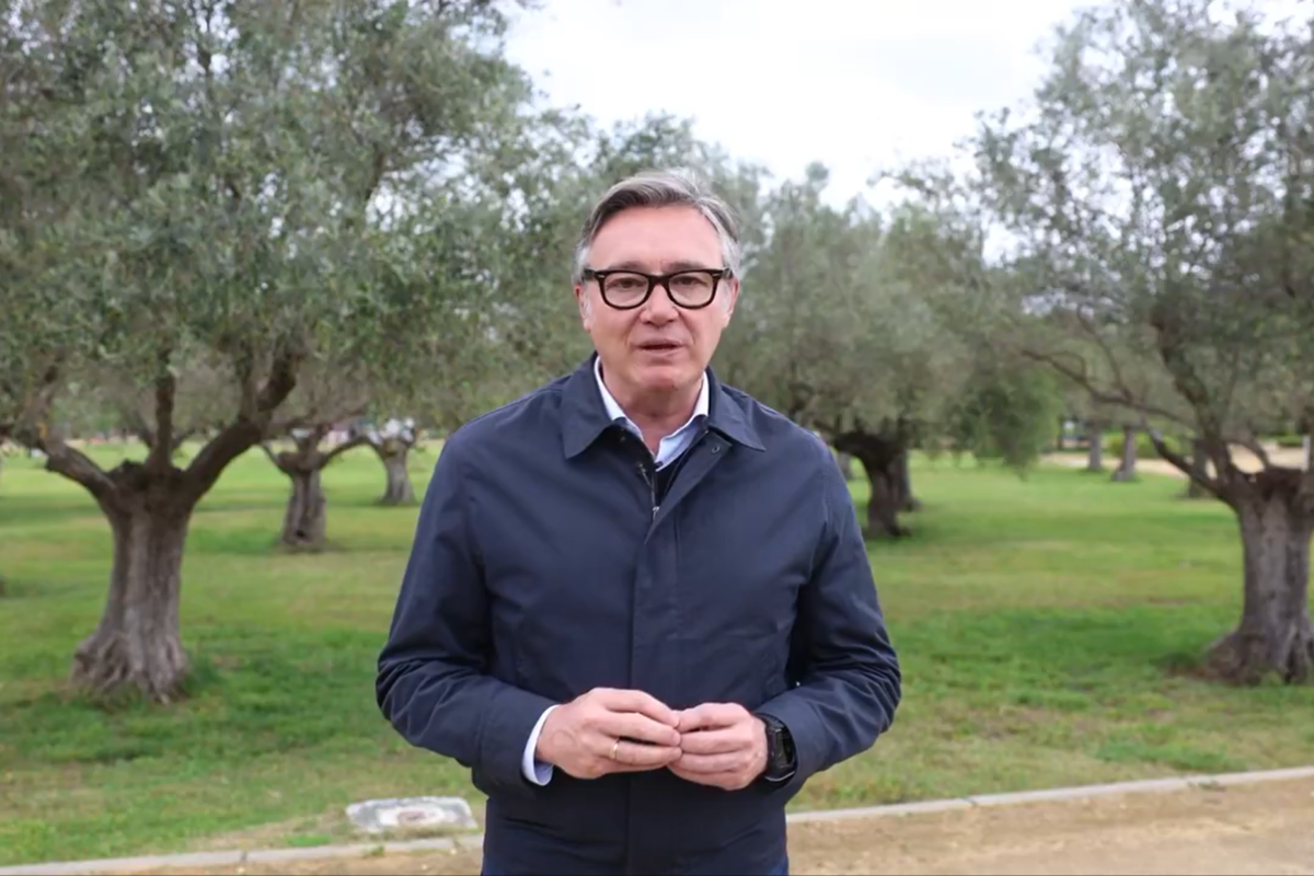 VOX denuncia la persecución contra los agricultores: «Bruselas financia la plantación de olivos en Marruecos mientras en Andalucía se arrancan»