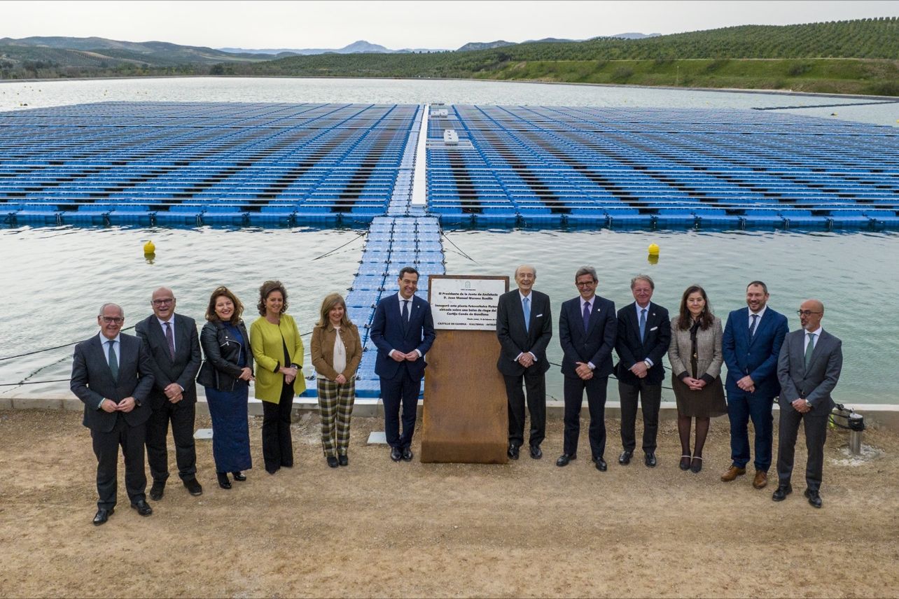 La Junta de Andalucía (PP) no ofrece soluciones a los agricultores que están sufriendo la tala de olivos: «Los proyectos fotovoltaicos siguen adelante»