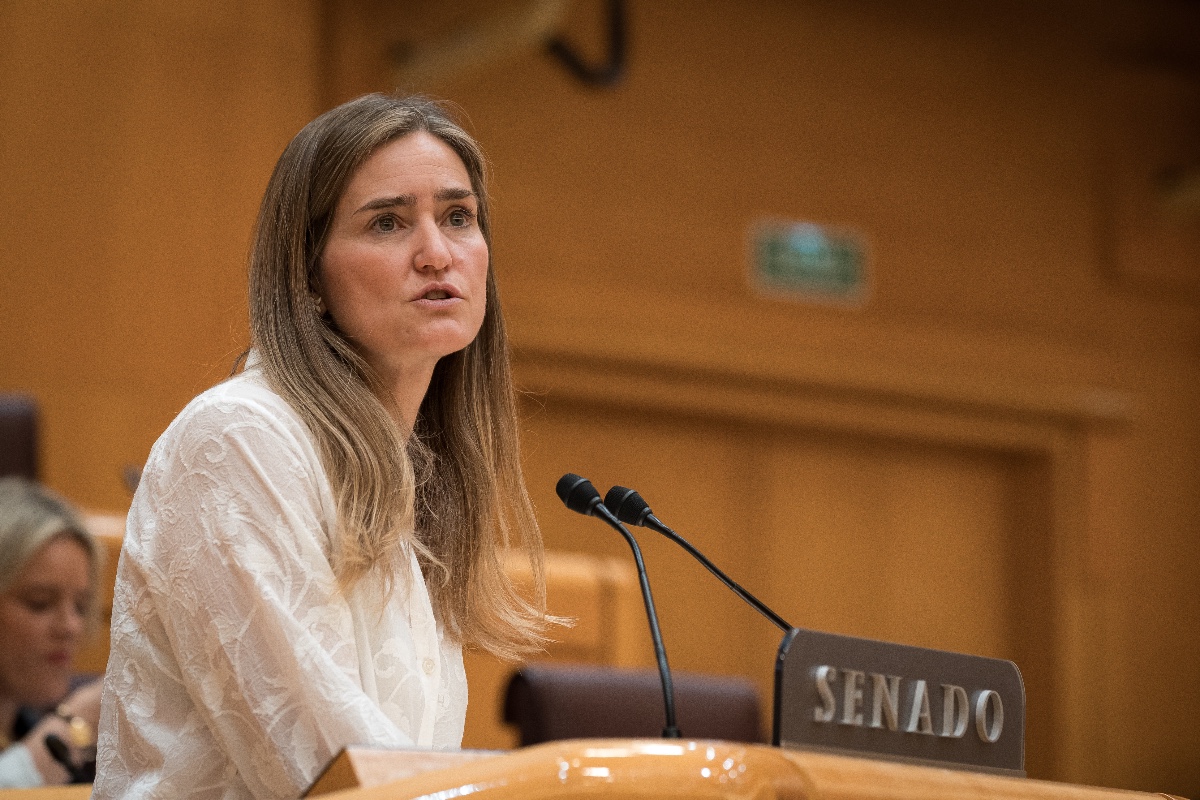 El Gobierno afirma que el sistema eléctrico contaba con una inercia «acorde» en momentos previos al apagón