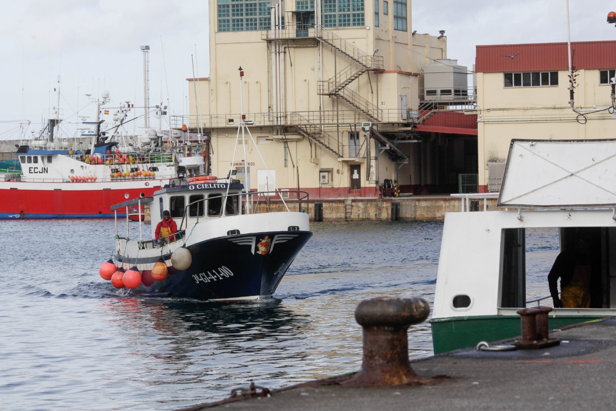 Bruselas impone una nueva limitación a las capturas de gamba roja de los pescadores españoles en el Mediterráneo