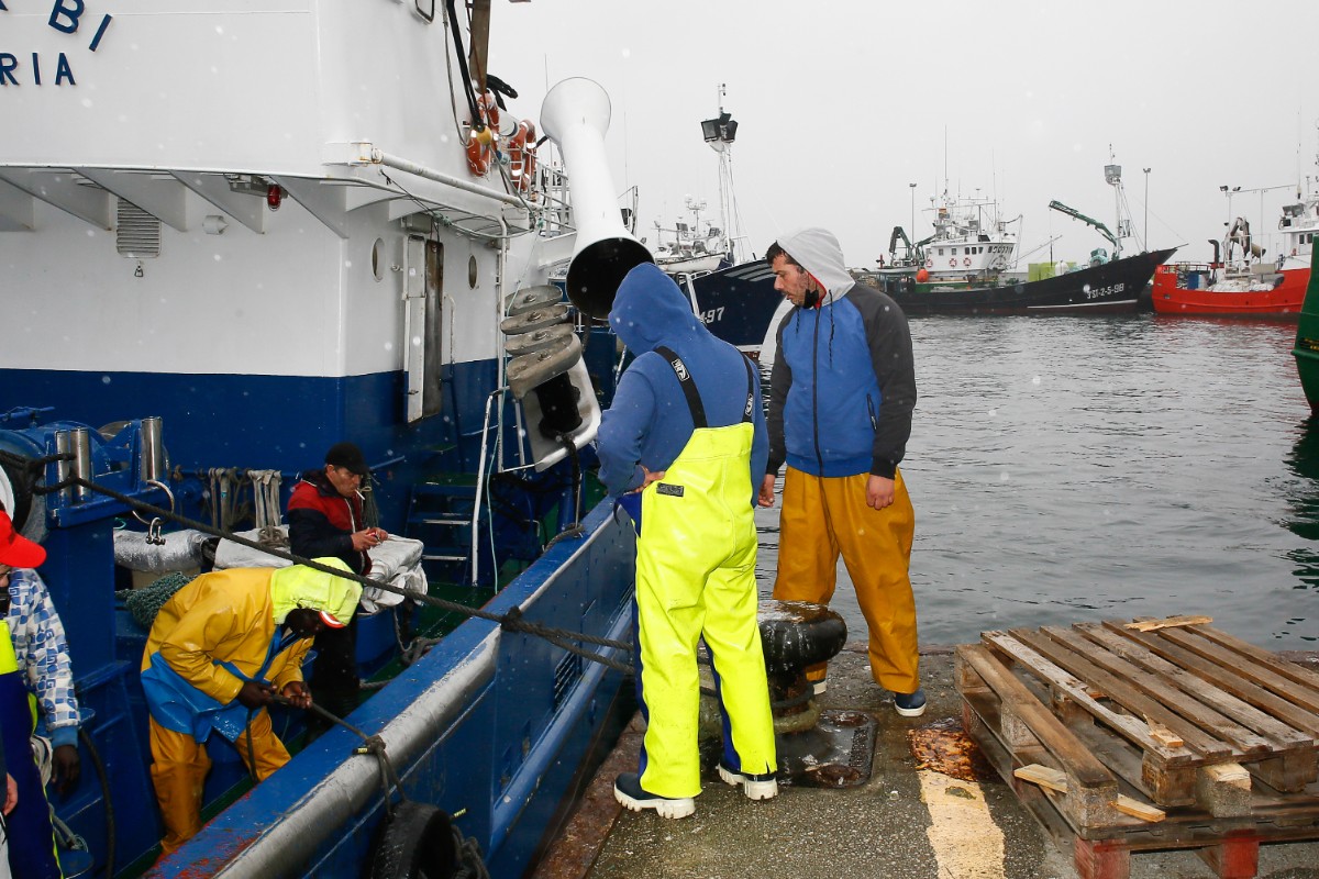 Más restricciones a los pescadores españoles: Bruselas les obliga a capturar dos millones de kilos de bocarte menos en el Cantábrico