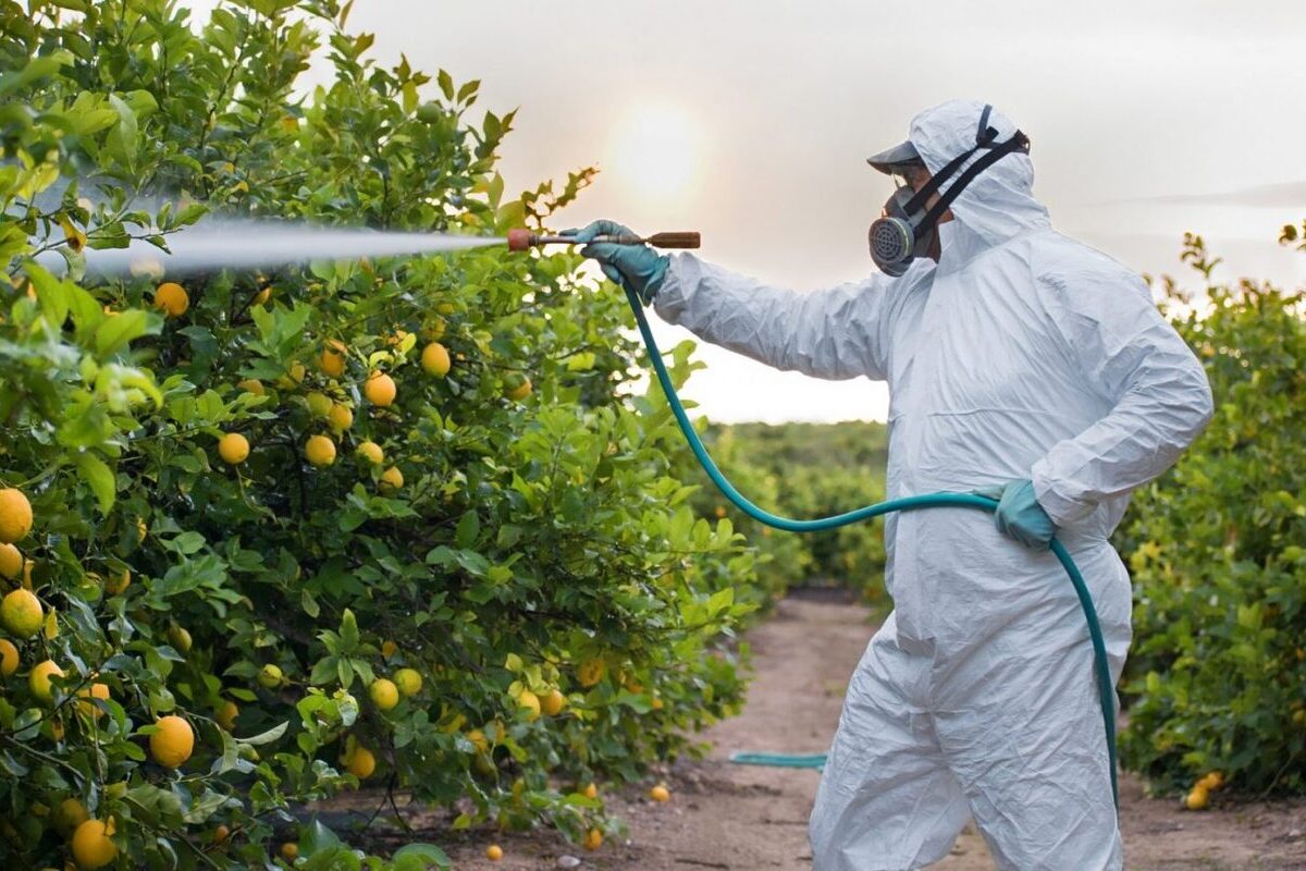 La agenda verde de Bruselas deja la venta de fitosanitarios en mínimos históricos y limita la productividad de las explotaciones