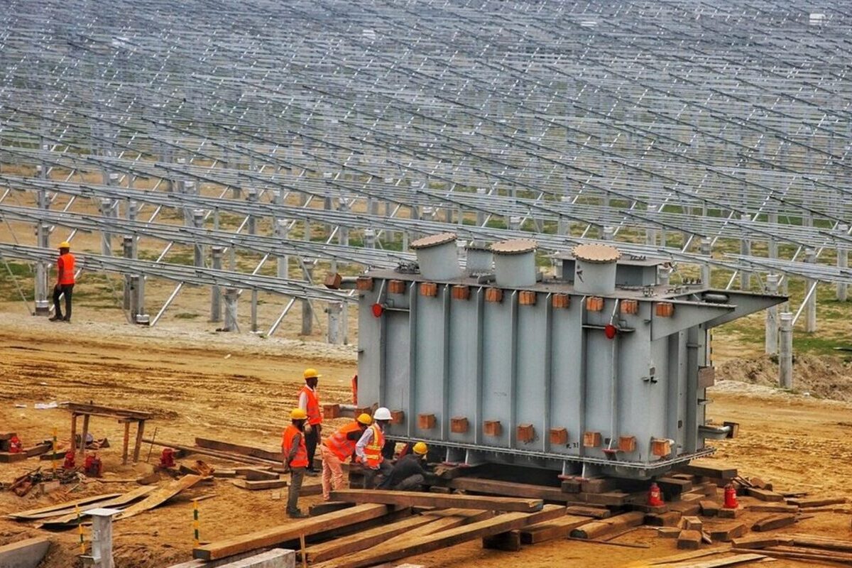Agricultores entregan más de 55.000 firmas contra la tala de olivos centenarios para instalar plantas solares