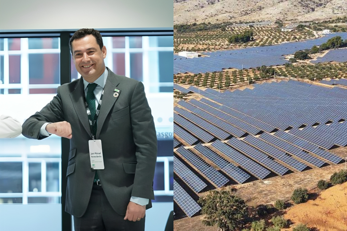 Una agricultora invitada por VOX al Parlamento andaluz estalla contra Moreno Bonilla por la tala de olivos: «Está destruyendo mi economía familiar»