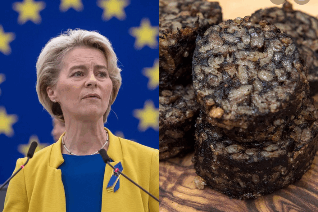 Morcilla Bruselas