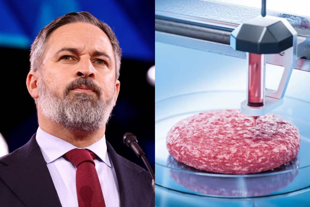 VOX lleva al Congreso una ley para prohibir la venta de carne sintética y etiquetar los productos con insectos ante los planes del globalismo