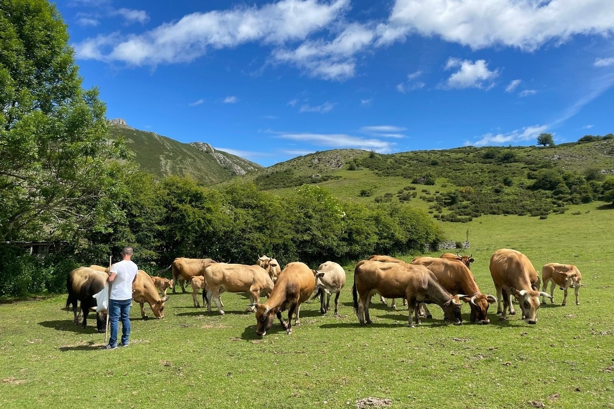 Más problemas para los agricultores: El Gobierno de Sánchez duplica el valor del suelo rústico para subirles los impuestos