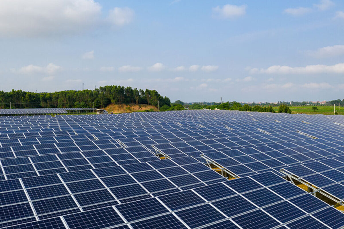 La persecución al sector del campo llega a Cataluña: un millar de hectáreas de superficie agraria cultivada peligran en Lérida por proyectos de placas solares