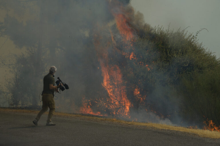 España registra más de 44.500 hectáreas quemadas por incendios forestales este año, equivalentes a 60.800 campos de fútbol