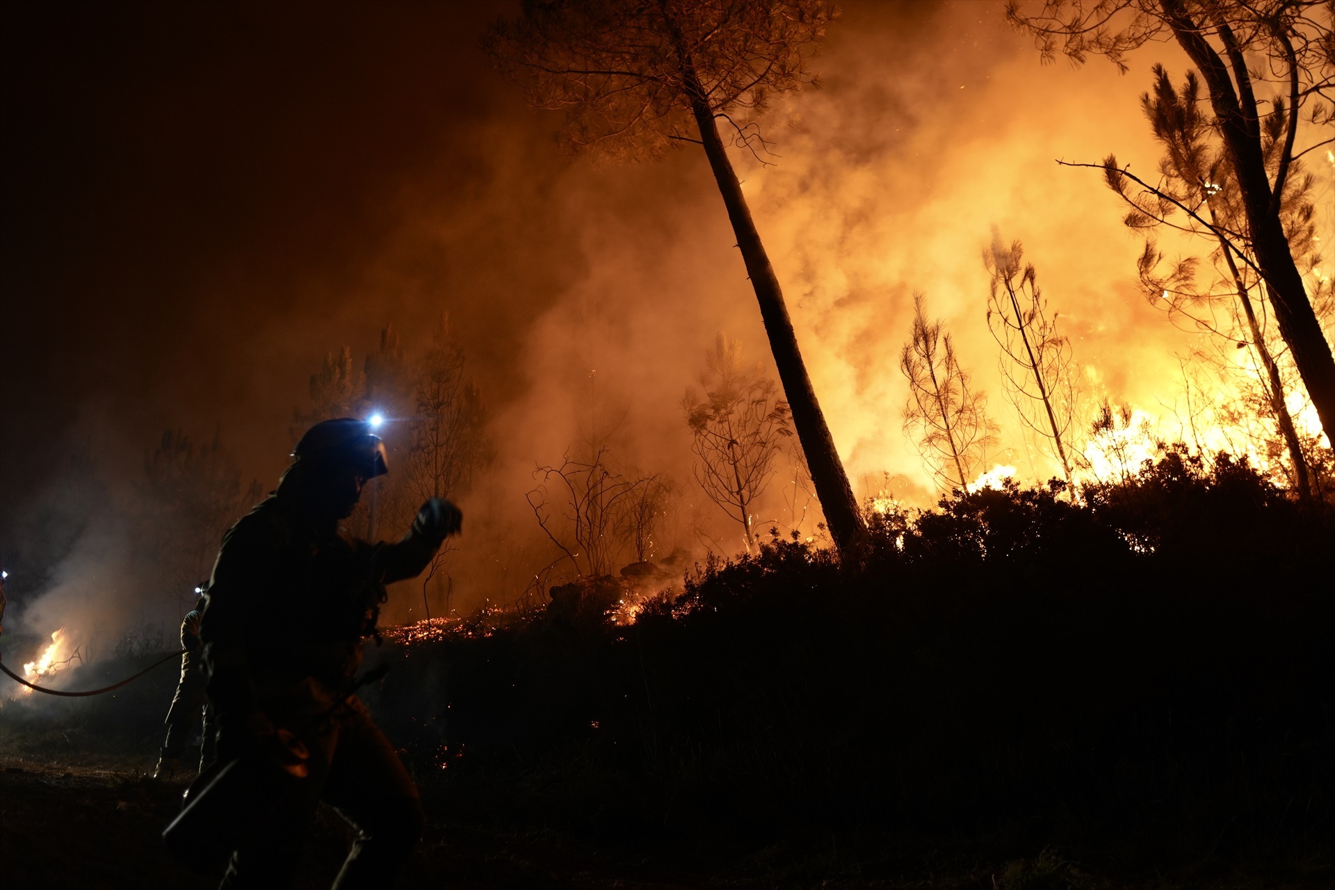 Detenida una mujer en Carballo (La Coruña) por once incendios forestales mientras Sánchez sigue culpando al «cambio climático»