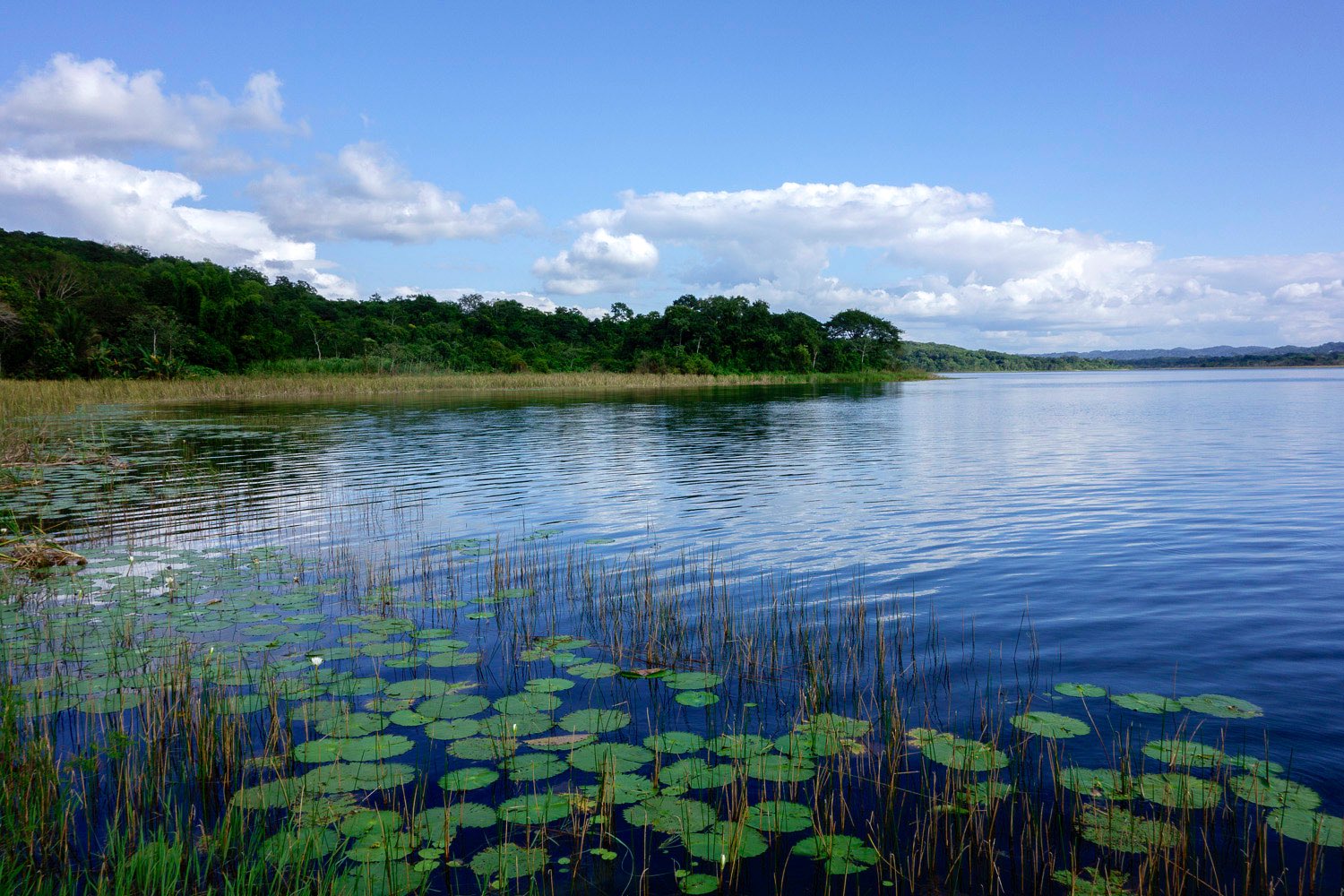 El Gobierno de Sánchez destinó más de 10 millones de euros a la gestión “sostenible” y transición «verde» de un lago en Guatemala