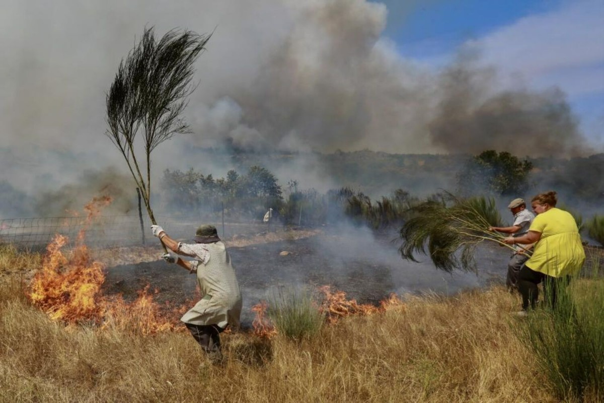 Los incendios forestales en Portugal han consumido más de 64.000 hectáreas en sólo dos días
