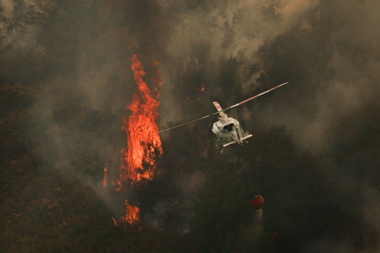 Agricultores y ganaderos exigen el fin de las directivas que impiden limpiar los montes: «Los incendios se apagan en invierno. Que nos dejen desbrozar»