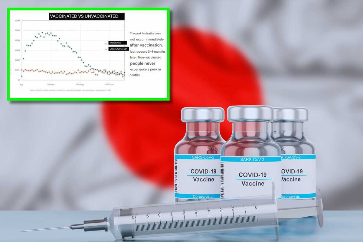 Un estudio japonés desvela que durante la pandemia de covid-19 el riesgo de morir era mayor cuantas más vacunas te inoculases