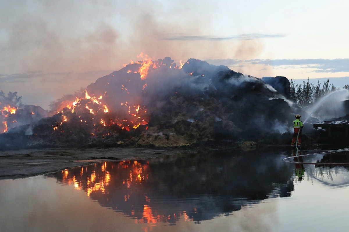 Dos muertos y miles de hectáreas calcinadas en la oleada de incendios por toda España: «Las administraciones son culpables por no limpiar los montes»