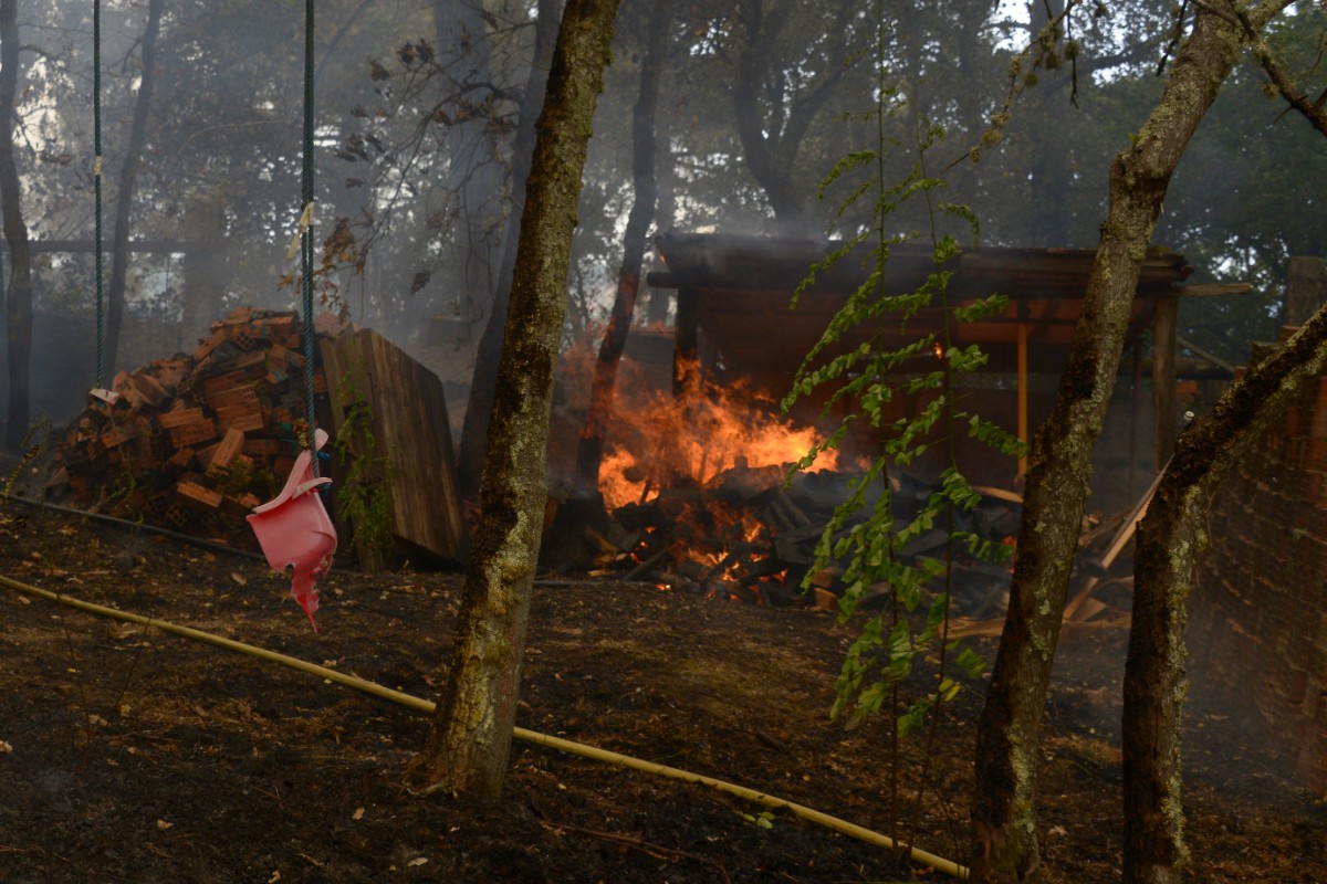 Galicia y Castilla y León acumulan más del 85% de las hectáreas quemadas este mes de agosto: «Los bosques son puro combustible por la falta de prevención»