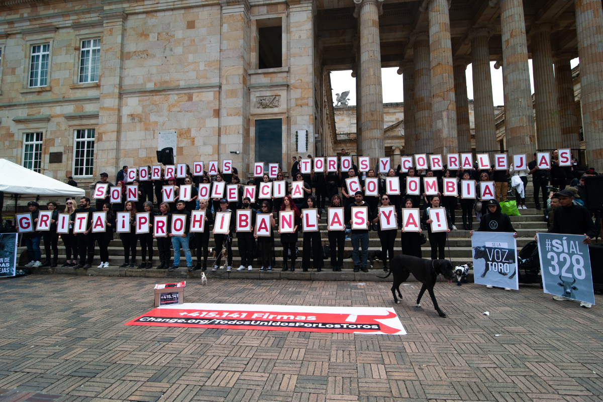 El Tribunal Constitucional de Colombia prohíbe las corridas de toros, las novilladas y las peleas de gallos