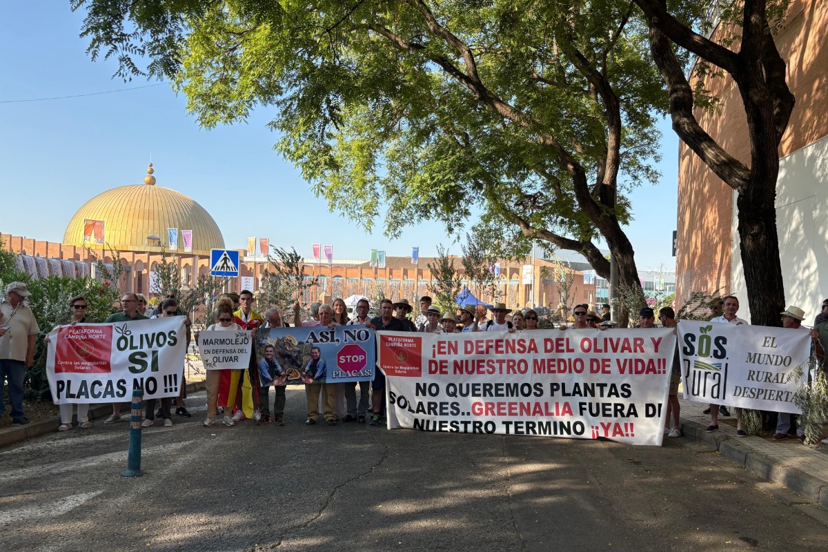 La resistencia rural frente a los macroproyectos «verdes»: más de 1.100 han sido rechazados o limitados en todo el mundo desde 2003