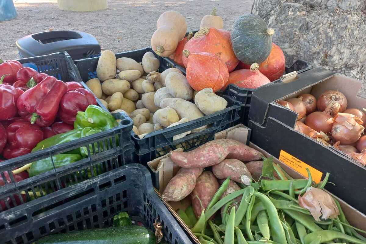 La Agenda 2030 y el Pacto Verde condenan a España: un tercio de las frutas y hortalizas que se importan llegan de Marruecos