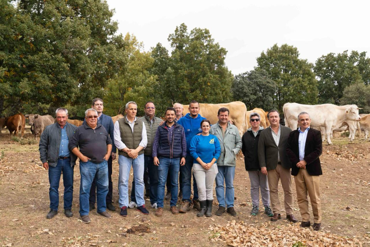 Intervenidas en Granada 3,2 toneladas de hachís ocultas entre cartones reciclados enviados desde Melilla