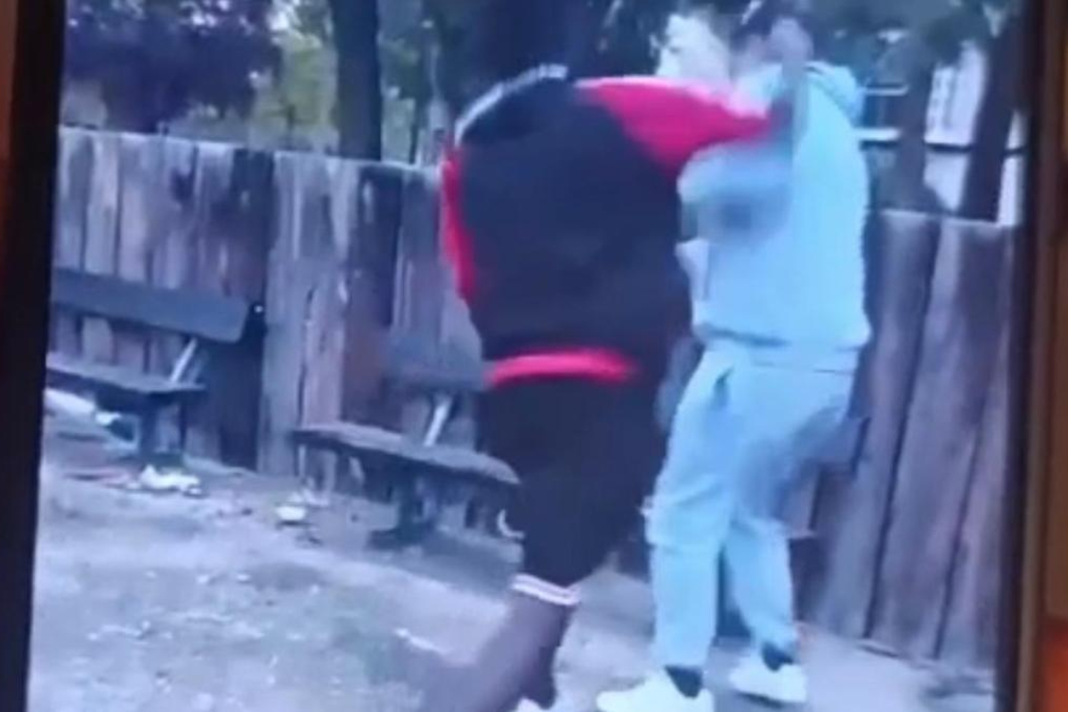 Detenidos una rumana y un subsahariano por la brutal paliza a un joven discapacitado en Zaragoza: grabaron la agresión y la subieron a redes