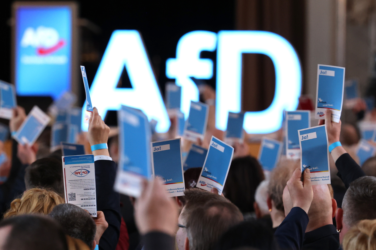 Los Verdes alemanes movilizan autobuses para «tratar de impedir» la celebración del congreso de la AfD
