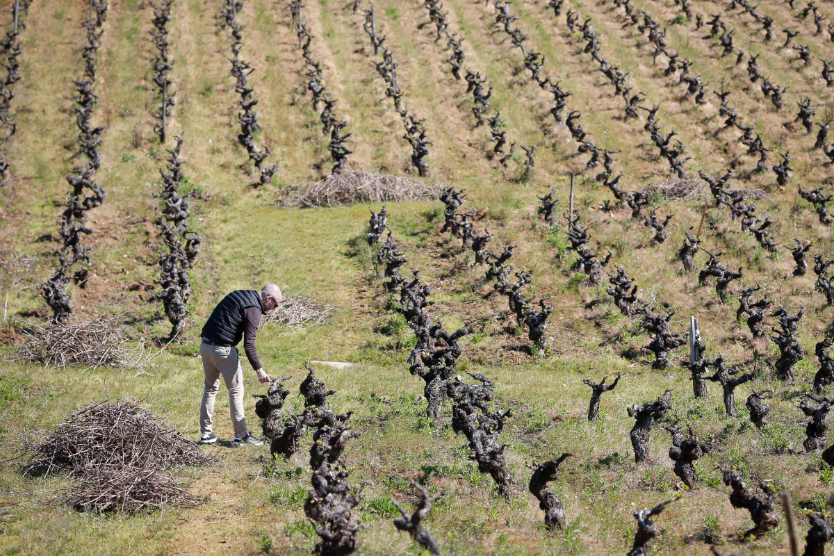 Bruselas admite que Europa está perdiendo su fuerza agrícola: la edad media del agricultor está en baja acelerada y ya roza los 60 años