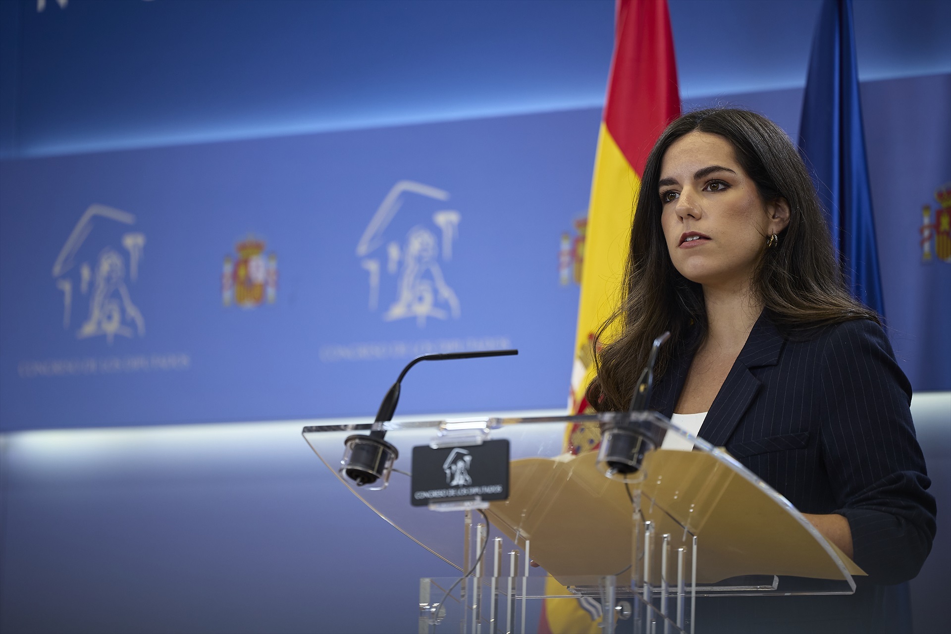 VOX defenderá este jueves en el Congreso proceder a la «remigración» de inmigrantes que accedan de forma ilegal a España