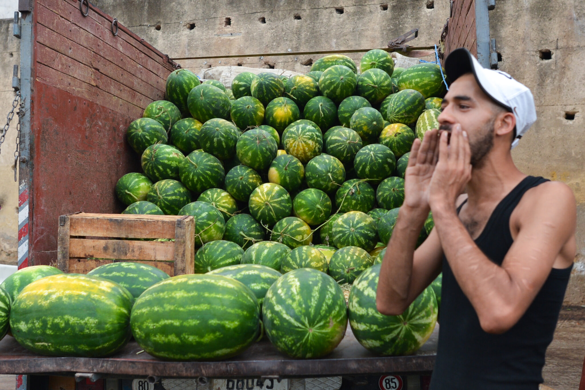 España incrementa en un 35% la importación de frutas y hortalizas provenientes de Marruecos mientras el Gobierno abandona a los agricultores