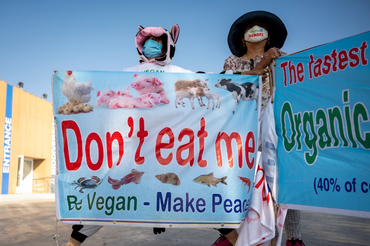 El veganismo pierde el 75% de sus seguidores en Países Bajos en sólo dos años: «Carecemos de nutrientes vitales»
