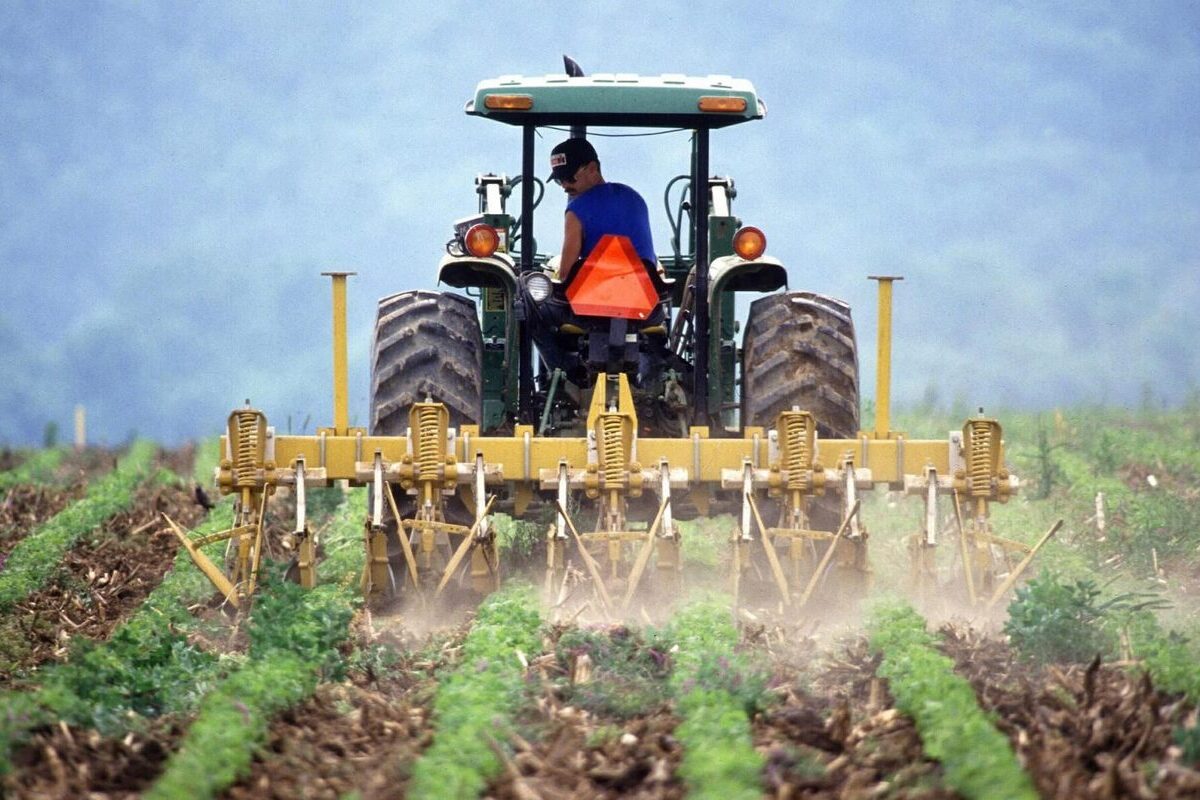 El campo andaluz pide más plazo para la solicitud de la PAC tras las pérdidas producidas por las borrascas: «Tenemos importantes dificultades»
