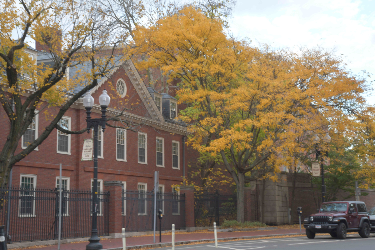 El encargado de la morgue de la facultad de Medicina de Harvard, condenado por vender restos humanos