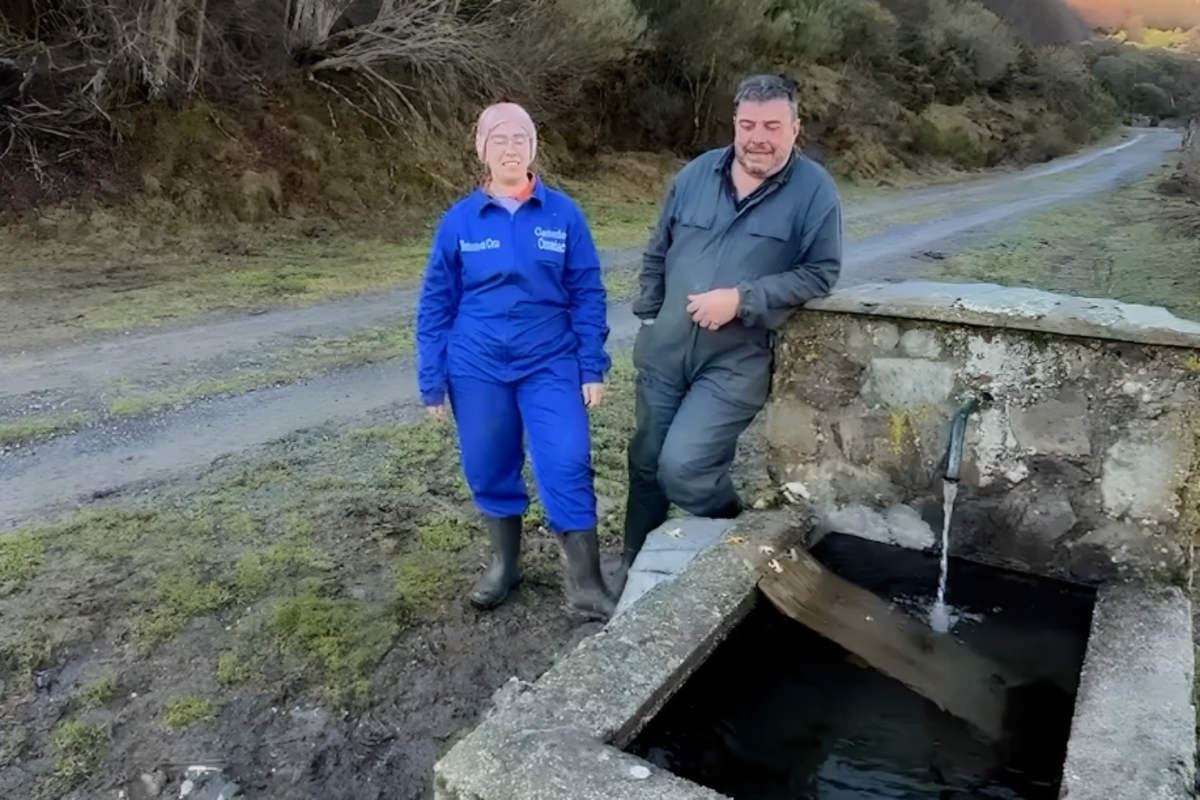 Ganaderos denuncian que la Junta de Castilla y León (PP) se ha gastado 240.000 euros en hacer rampas para que las ranas beban agua