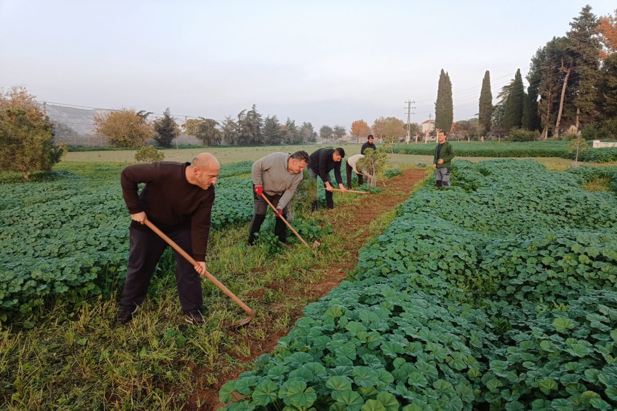 El sector arrocero lamenta la «situación límite» ante la «entrada masiva» de producto de terceros países: «Es la estocada final para muchas familias»