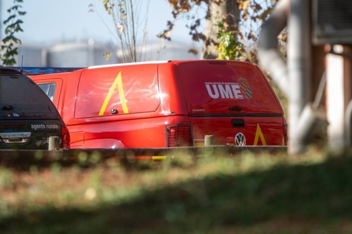Aumentan a nueve los casos de peste porcina africana en jabalíes en Cataluña