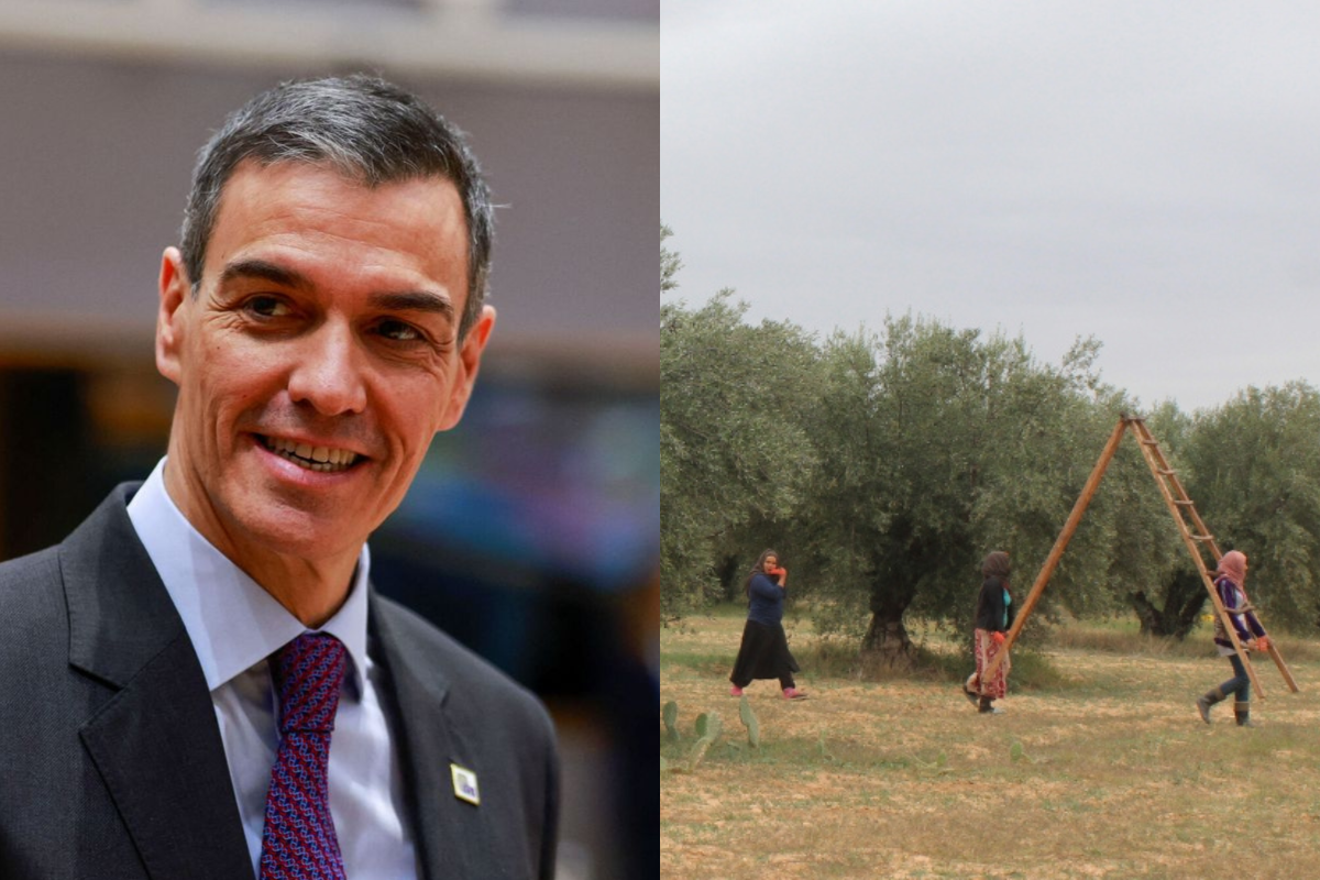 El Gobierno de Sánchez destina 250.000 euros para «la mejora del regadío sostenible» en varias zonas de Túnez mientras abandona al campo español