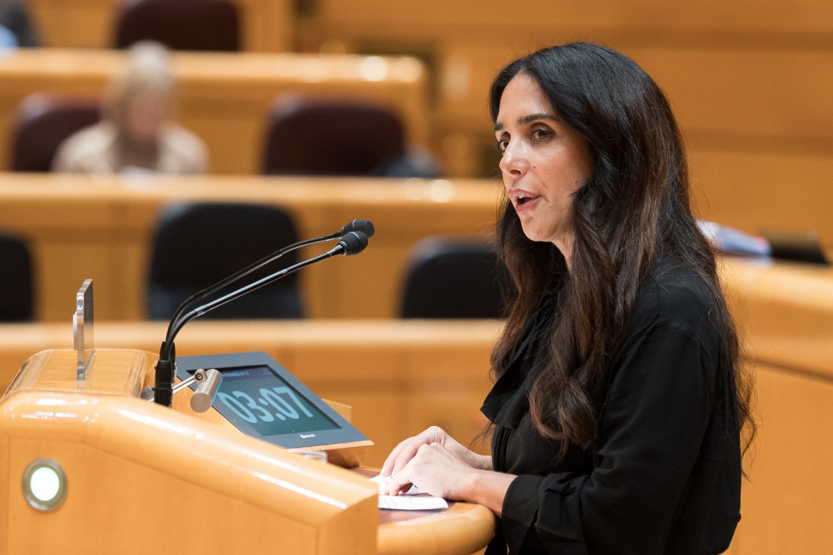 VOX exige en el Senado la dimisión de Puente por la tragedia en Adamuz: «Su corrupción mata»