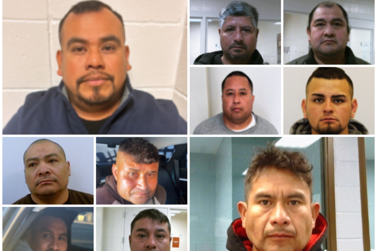 La Administración Trump detiene a 118 inmigrantes ilegales en California incluidos agresores sexuales y conductores ebrios reincidentes