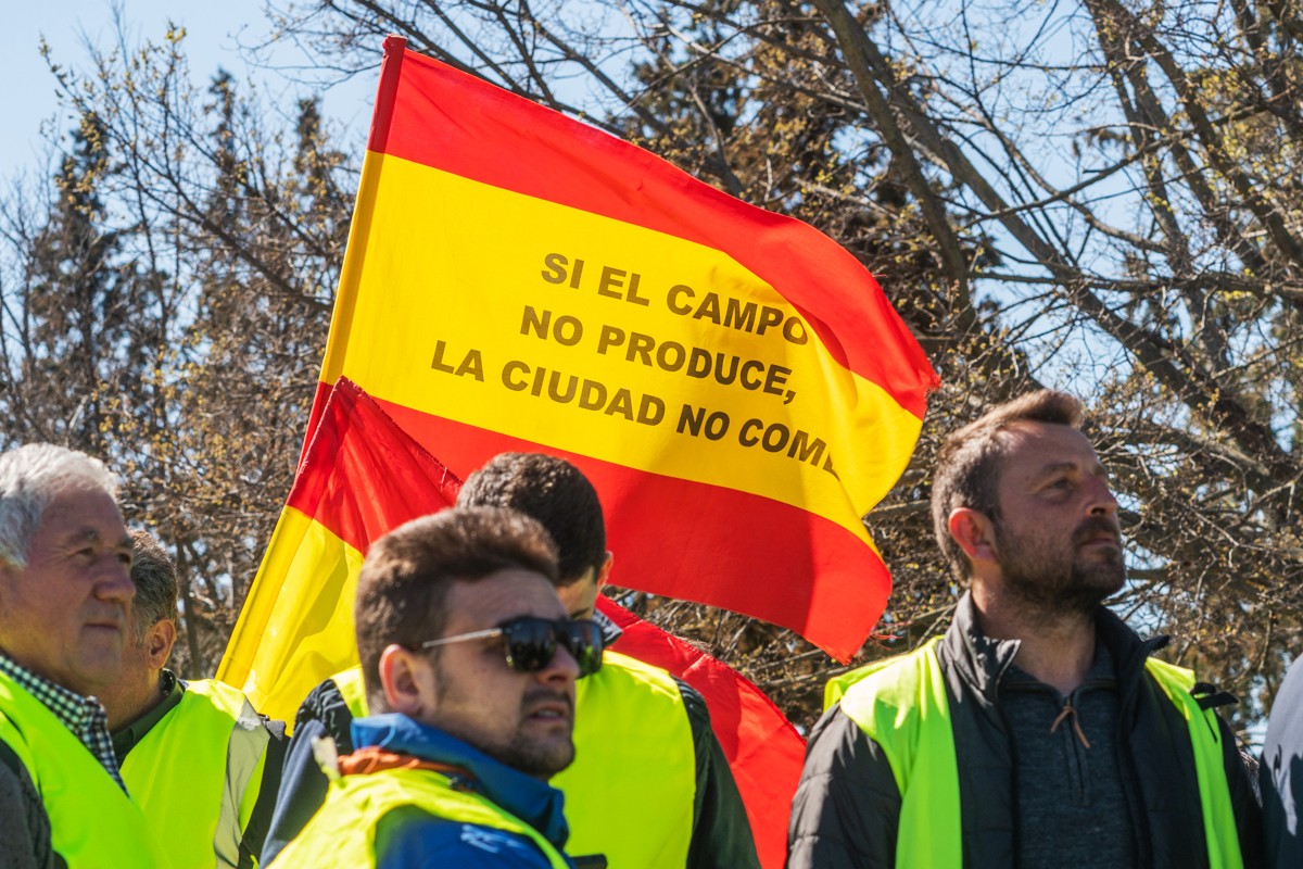 El acuerdo con Mercosur pactado por Bruselas perjudicará a 82.000 explotaciones agrarias de Castilla-La Mancha: «Es un golpe al corazón económico y social de la región»