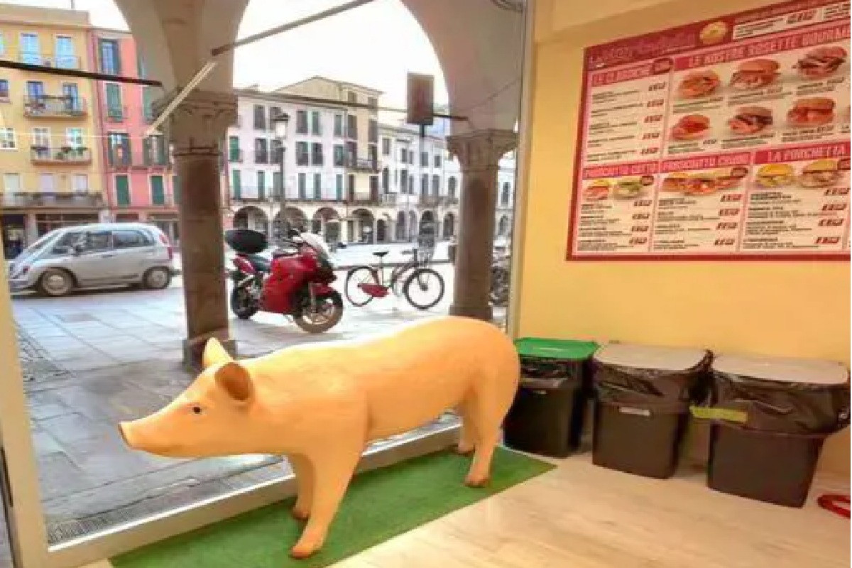 Los líderes musulmanes de Padua (Italia) exigen la retirada de un cerdo de plástico del escaparate de una tienda: «Ofende a nuestra comunidad»