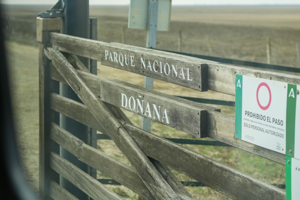 El daño medioambiental del narcotráfico en Doñana: el año pasado se retiraron 2.000 «petacas»
