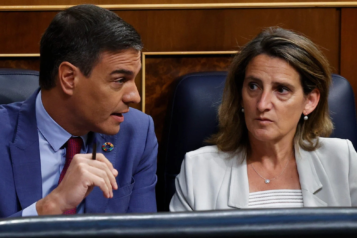 El Gobierno de Sánchez destina más de 83 millones a una ONG de ex altos cargos socialistas para acoger inmigrantes ilegales