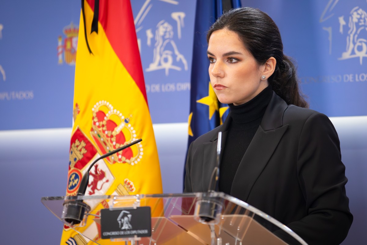 VOX lanza una ofensiva parlamentaria ante el accidente en Adamuz: exige la comparecencia inmediata de Óscar Puente, Adif y Renfe